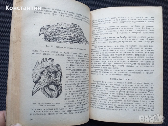 Ветеринарен наръчник на птицевъда, снимка 2 - Специализирана литература - 52474975