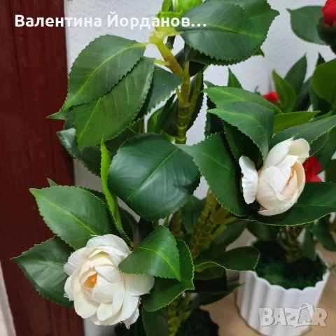 реалистични изкуствени камелии , снимка 4 - Декорация за дома - 52892713