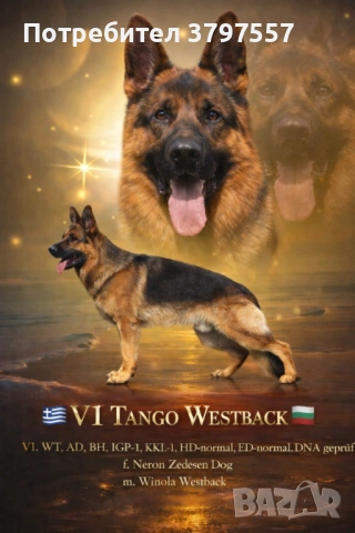 Развъдник за Немско Овчарко Куче von Haus Evelin 