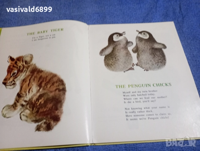 "BABY ANIMALS", снимка 6 - Детски книжки - 52434551