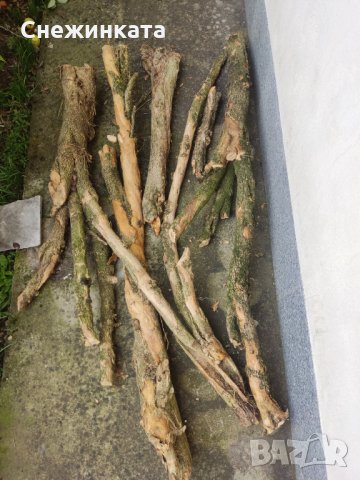 Продавам чемшир- дървен материал (50-150лв/брой), снимка 2 - Други - 34714075