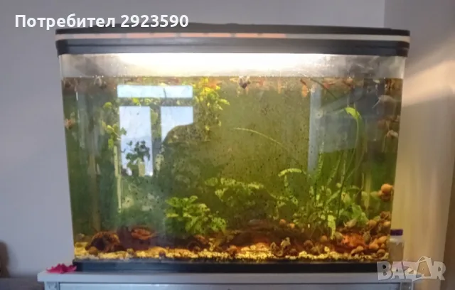 Аквариум RS 800EL