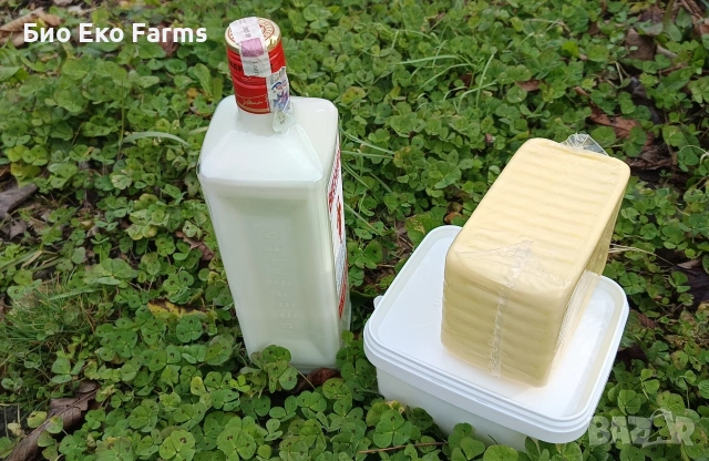 Сирене и кашкавал домашни зрели пасищни , снимка 2 - Домашни продукти - 53763132