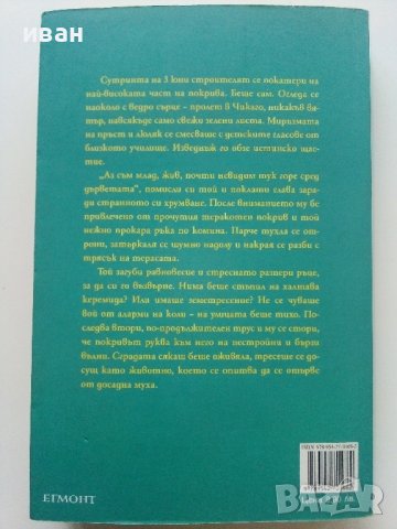 Райт 3  - Блу Валиет - 2008г. , снимка 6 - Детски книжки - 41418358