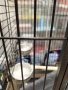 Голяма клетка за папагал,птици,Жако, Амазона, Александър и др , снимка 4