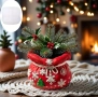 3D Коледна чанта молд кашпа, снимка 1