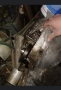 Много налични части за МЗ 150, снимка 8