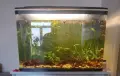 Аквариум RS 800EL, снимка 1