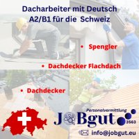 Строителни работници, Кофражисти, Арматуристи с немски език за Швейцария, снимка 2 - Майстори - 44475570