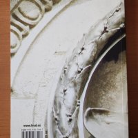 Левски & Попа - Александър Стефанов, снимка 2 - Художествена литература - 40287936