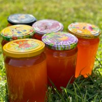 Домашен пчелен мед - натурален, снимка 1 - Пчелни продукти - 41912608