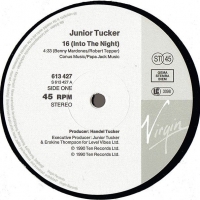 Junior Tucker ‎– 16 (Into The Night) Vinyl, 12", снимка 2 - Грамофонни плочи - 36111241