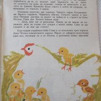 Книга "Приключение край малкия поток - Д.Йосифова" - 16 стр., снимка 3 - Детски книжки - 41416628