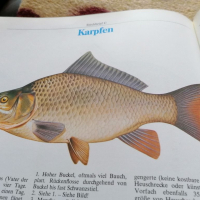 Книга за риболова , снимка 9 - Енциклопедии, справочници - 36168475