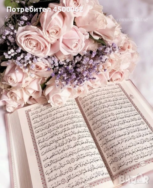 ходжа, снимка 1