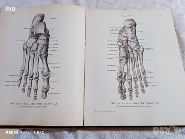 Anatomichen atlas senelnikov, снимка 2 - Антикварни и старинни предмети - 40853587