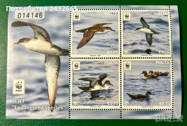 655. Малта 2016 ~ “ Фауна. WWF - Застрашени видове птици ”, **, MNH , снимка 1 - Филателия - 33635924