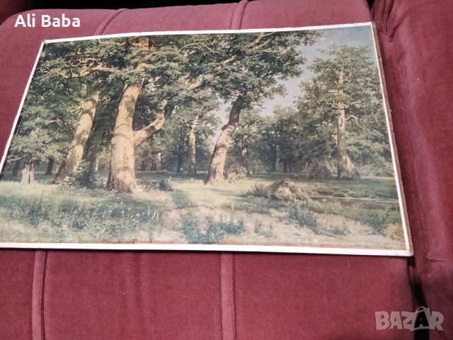 Картина репродукция Шишкин'Дъбова горичка' , снимка 1 - Антикварни и старинни предмети - 41670701