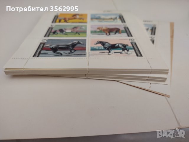 Марки нови с коне,цяла серия 100бр., снимка 3 - Колекции - 39602042