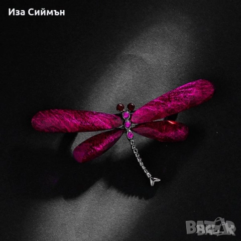 Брошки - котка, змия, грозде, водно конче, калинка, снимка 11 - Други - 31805865