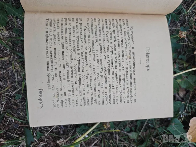 книга Мисли по културното и икономическо подигане на нашия народ Г. Димитриев 1911, снимка 2 - Специализирана литература - 55961329