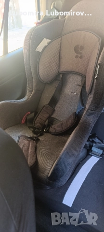 Стол за кола Lorelli Jupiter (0-25кг)