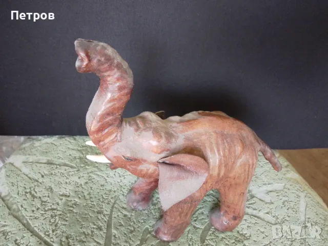 слонче естествена кожа, снимка 3 - Статуетки - 49368738