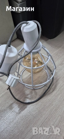 Полилей , снимка 4 - Полилеи - 53198831