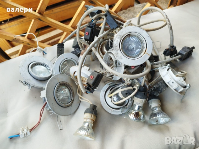 Крушки от чужбина, снимка 4 - Крушки - 53870559