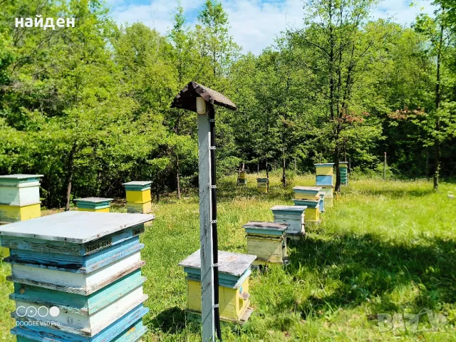 Соларна система , снимка 3 - Къмпинг осветление - 50204323