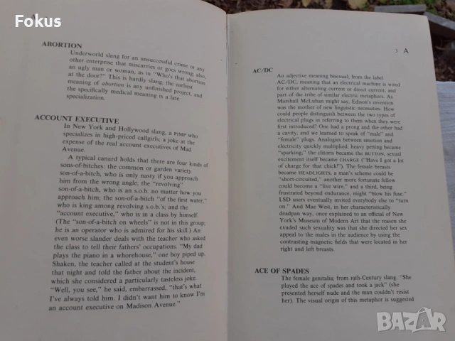 КОЛЕКЦИОНЕРСКА КНИГА *ЗАБРАНЕНИТЕ ДУМИ В ПЛЕЙБОЙ* PLAYBOY, снимка 7 - Антикварни и старинни предмети - 53512388