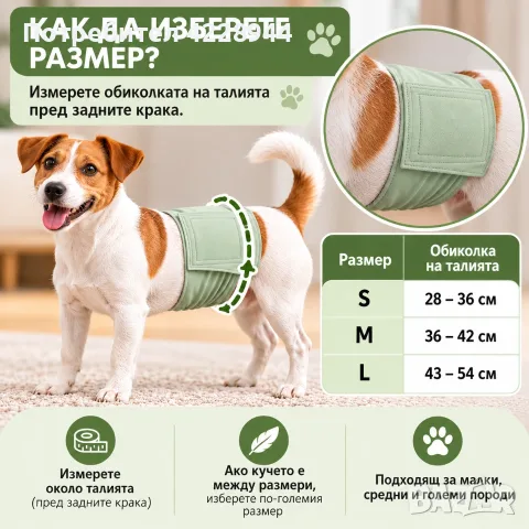 Мъжки кучешки памперс / пояс за куче – многократен, перящ се за кучета маркиращи територия, снимка 2 - За кучета - 56228647