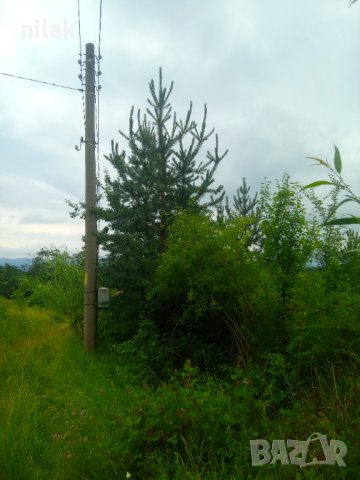 Продавам парцел в село Краево област София , снимка 11 - Парцели - 39292181