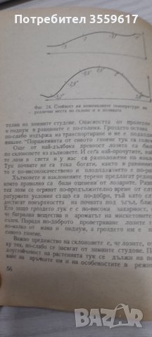 Практическо лозарство и винарство, снимка 2 - Специализирана литература - 41574000