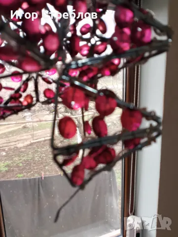 Полилеи ретро, снимка 5 - Полилеи - 48930523