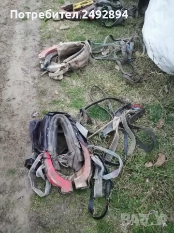 Конски хамут , снимка 4 - Други животни - 52506534