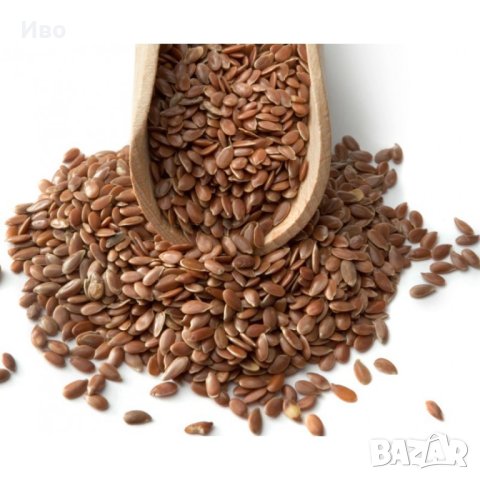 Ленено семе, Лен