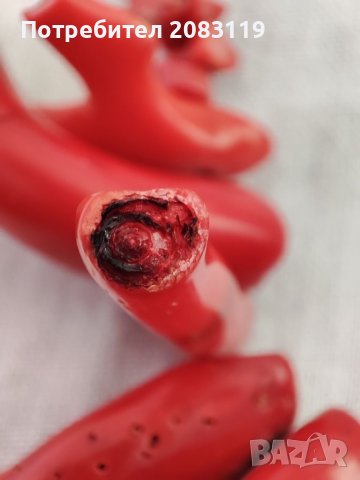 Гердан от червен корал естествен, снимка 3 - Колиета, медальони, синджири - 40933488