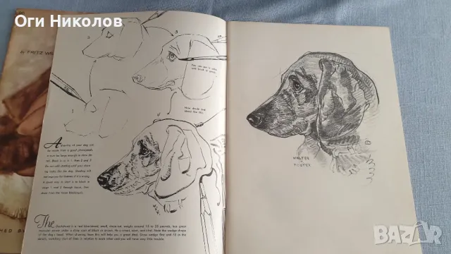 Два броя помагала за художници от средата на миналия век, снимка 8 - Други - 50243516