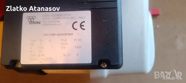 Италианска гроздомелачка , снимка 2 - Други - 55904214