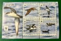 655. Малта 2016 ~ “ Фауна. WWF - Застрашени видове птици ”, **, MNH 