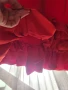 Красива червена рокля, снимка 3