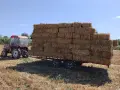 Балли Слама....., снимка 1