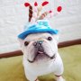 Кучешка шапка за рожден ден Шапка за рожден ден на домашен любимец Шапки за кучешки рожден ден, снимка 1
