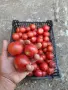 Продавам розов домат, снимка 5