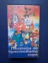 Видеокасета VHS Песента на Брястовата Гора, снимка 1