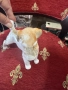 красива стара руска фигура лфз, снимка 2