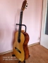 Класическа китара Tiepolo/Pro Arte/, снимка 2