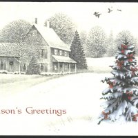 Картичка Поздравления за сезона и Нова Година от САЩ, снимка 1 - Филателия - 35763405