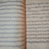 60 Etüden für die Violine. Op. 45 Franz Wohlfahrt 1929 г., снимка 3 - Други - 36291914
